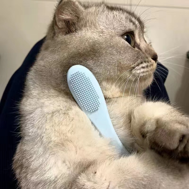 Cat Cleaning Black Chin Brush 6