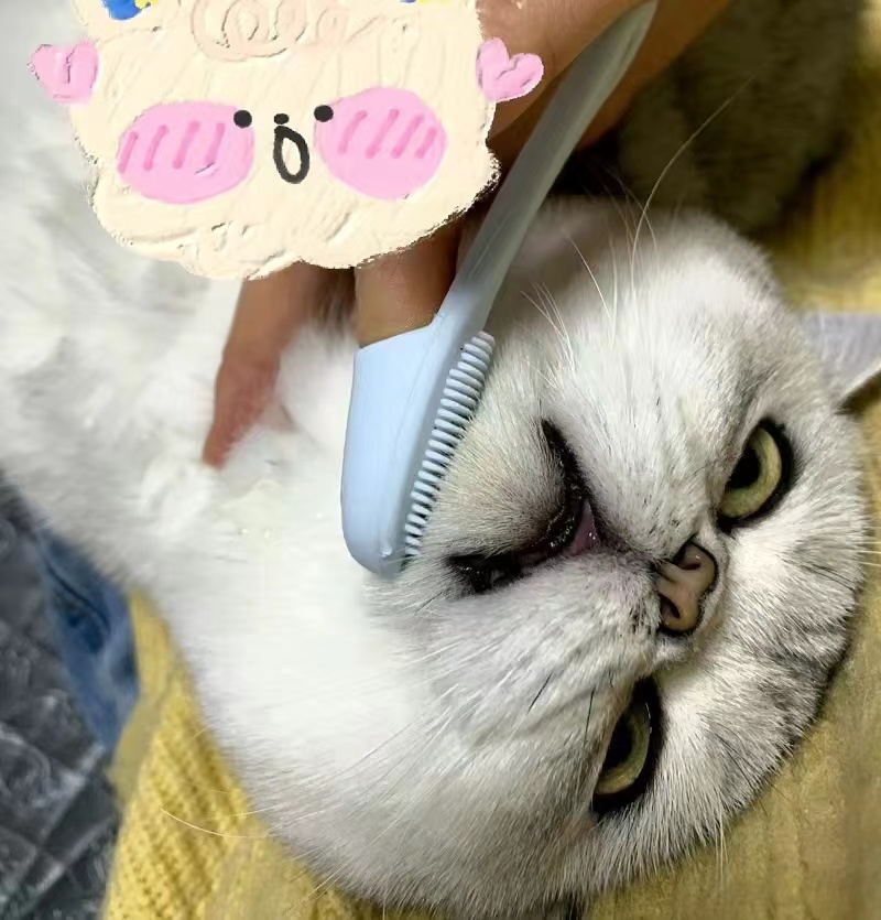 Cat Cleaning Black Chin Brush 5