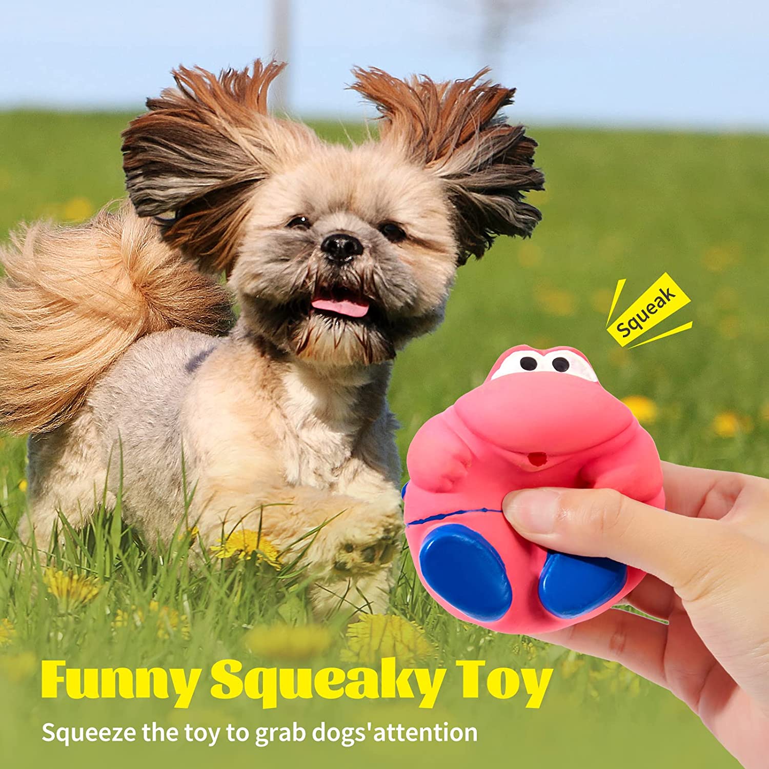 8 Pcs Squeaky Dog Toys Latex Rubber Dog Squeaky Toys Puppy 4
