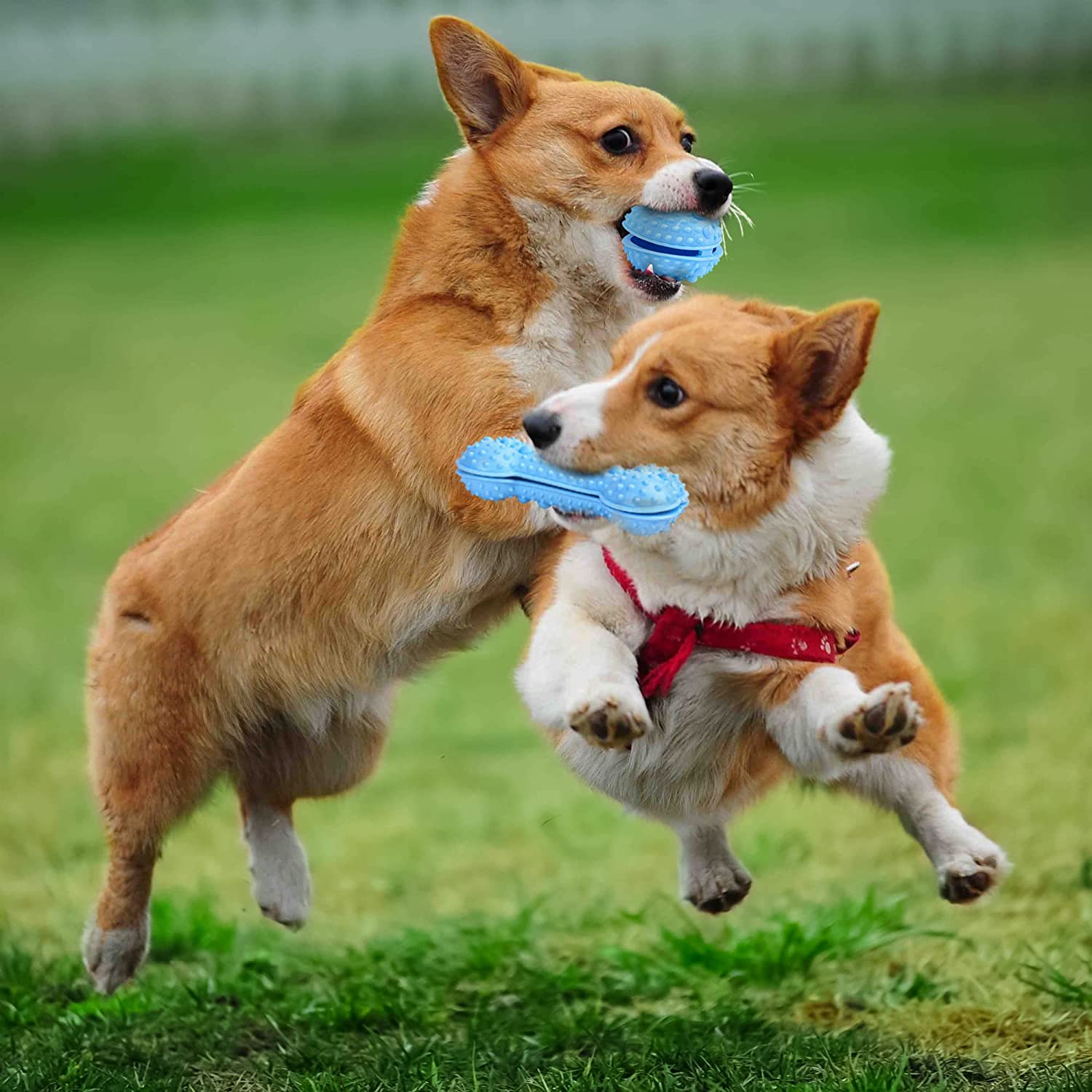 Dog Toys 2pack Puppy Bone Ball Chew Toy for Aggressive Chewers 3