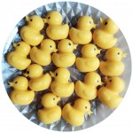 Rubber Duck Candy Molds